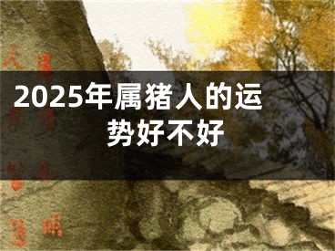 2025年属猪人的运势好不好