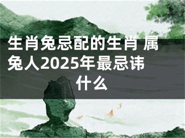 生肖兔忌配的生肖 属兔人2025年最忌讳什么