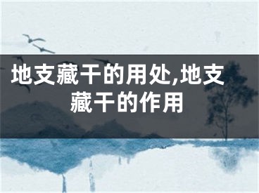 地支藏干的用处,地支藏干的作用