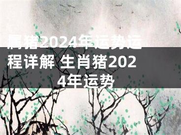 属猪2024年运势运程详解 生肖猪2024年运势