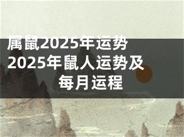 属鼠2025年运势 2025年鼠人运势及每月运程