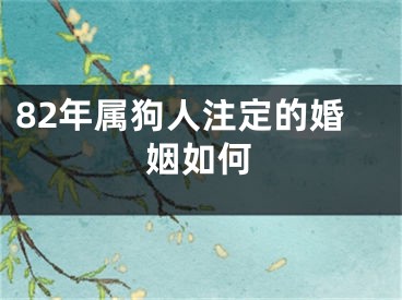 82年属狗人注定的婚姻如何
