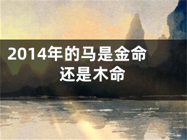 2014年的马是金命还是木命