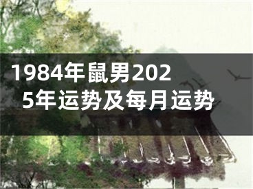 1984年鼠男2025年运势及每月运势