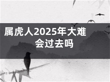 属虎人2025年大难会过去吗