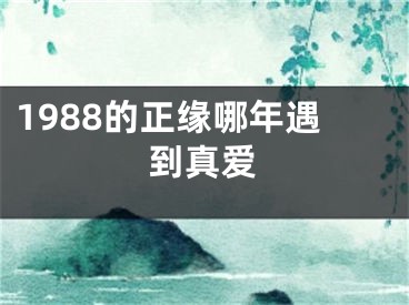 1988的正缘哪年遇到真爱