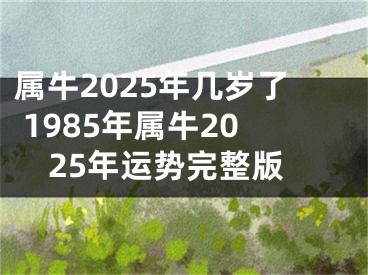 属牛2025年几岁了 1985年属牛2025年运势完整版