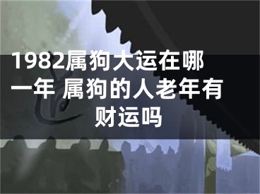1982属狗大运在哪一年 属狗的人老年有财运吗