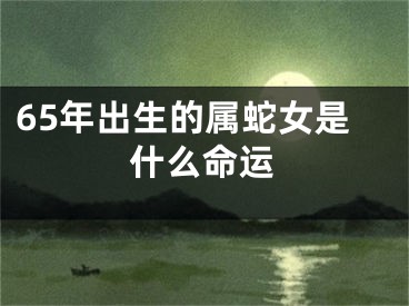65年出生的属蛇女是什么命运