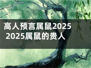 高人预言属鼠2025 2025属鼠的贵人