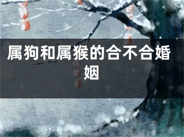 属狗和属猴的合不合婚姻