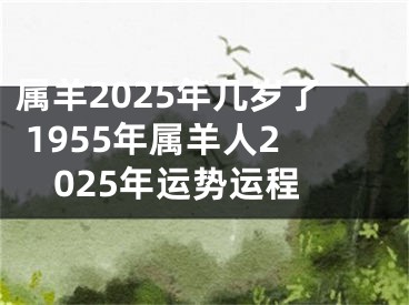 属羊2025年几岁了 1955年属羊人2025年运势运程