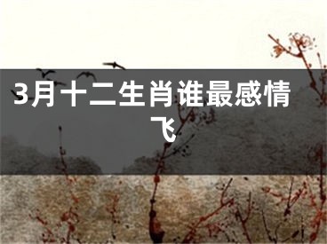 3月十二生肖谁最感情飞