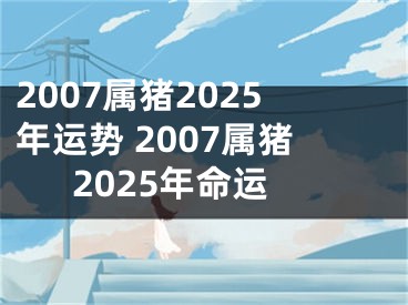 2007属猪2025年运势 2007属猪2025年命运