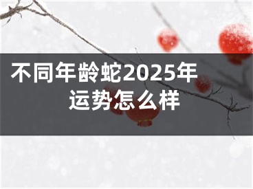 不同年龄蛇2025年运势怎么样