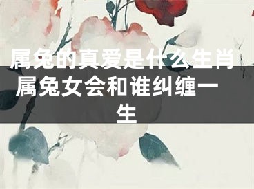 属兔的真爱是什么生肖 属兔女会和谁纠缠一生