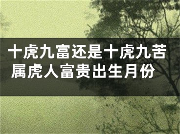 十虎九富还是十虎九苦 属虎人富贵出生月份