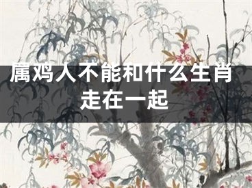 属鸡人不能和什么生肖走在一起