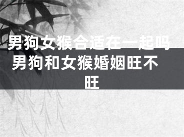 男狗女猴合适在一起吗 男狗和女猴婚姻旺不旺