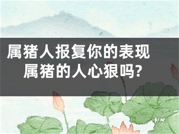 属猪人报复你的表现 属猪的人心狠吗?