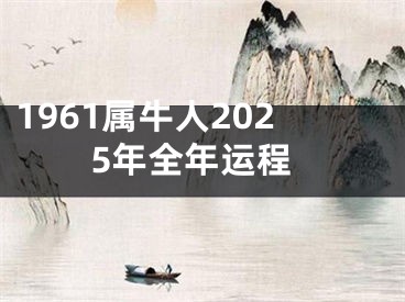 1961属牛人2025年全年运程
