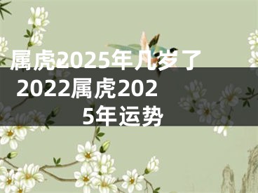 属虎2025年几岁了 2022属虎2025年运势