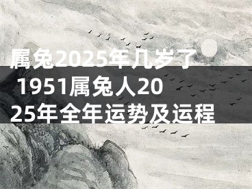 属兔2025年几岁了 1951属兔人2025年全年运势及运程