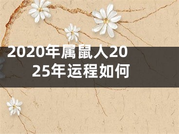 2020年属鼠人2025年运程如何