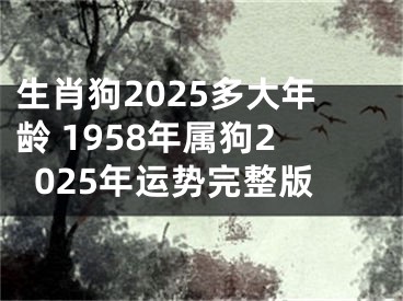 生肖狗2025多大年龄 1958年属狗2025年运势完整版