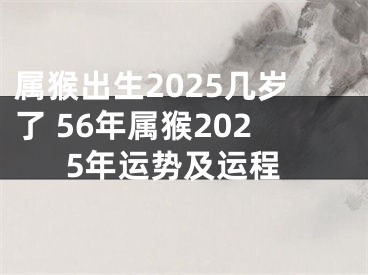 属猴出生2025几岁了 56年属猴2025年运势及运程