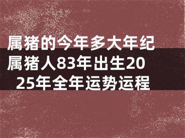 属猪的今年多大年纪 属猪人83年出生2025年全年运势运程