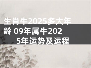 生肖牛2025多大年龄 09年属牛2025年运势及运程