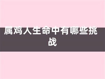 属鸡人生命中有哪些挑战