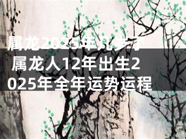 属龙2025年几岁了 属龙人12年出生2025年全年运势运程
