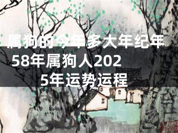 属狗的今年多大年纪年 58年属狗人2025年运势运程
