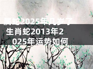 属蛇2025年几岁了 生肖蛇2013年2025年运势如何