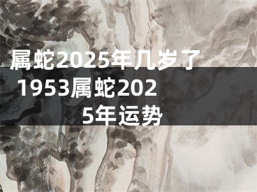 属蛇2025年几岁了 1953属蛇2025年运势
