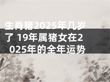 生肖猪2025年几岁了 19年属猪女在2025年的全年运势