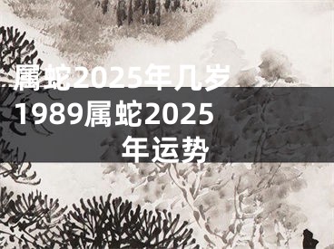 属蛇2025年几岁 1989属蛇2025年运势