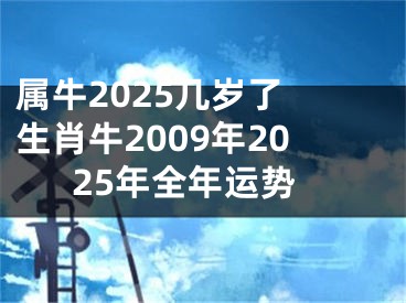 属牛2025几岁了 生肖牛2009年2025年全年运势