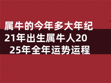 属牛的今年多大年纪 21年出生属牛人2025年全年运势运程