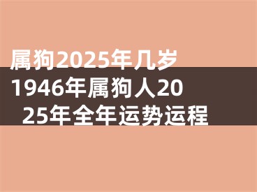 属狗2025年几岁 1946年属狗人2025年全年运势运程