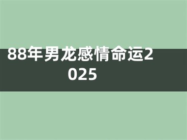 88年男龙感情命运2025