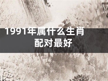 1991年属什么生肖配对最好