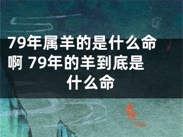 79年属羊的是什么命啊 79年的羊到底是什么命