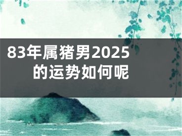 83年属猪男2025的运势如何呢 