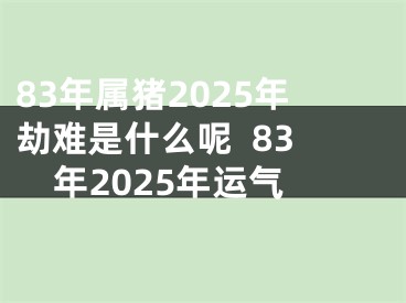 83年属猪2025年劫难是什么呢  83年2025年运气