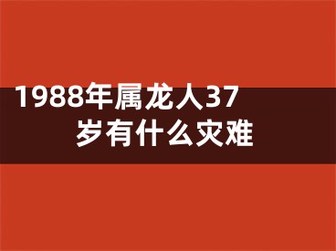 1988年属龙人37岁有什么灾难