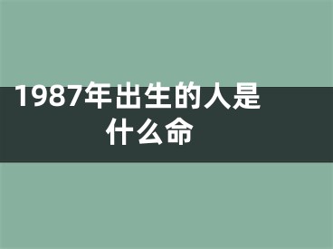 1987年出生的人是什么命 