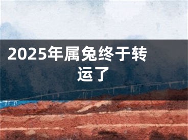 2025年属兔终于转运了
